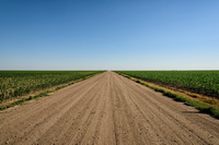 Road and Corn